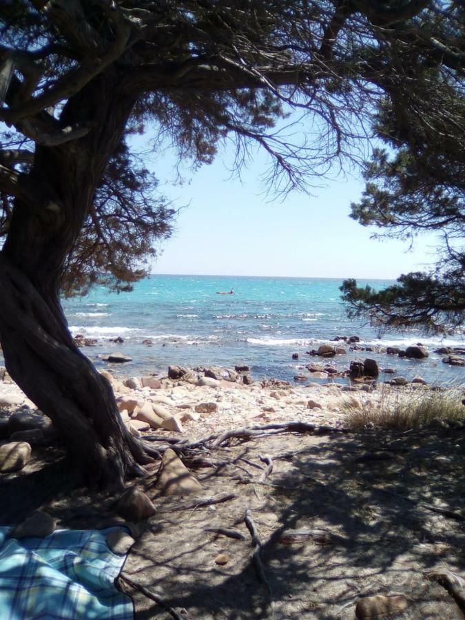 Appartamento Vacanze Sardegna Siniscola Zewnętrze zdjęcie
